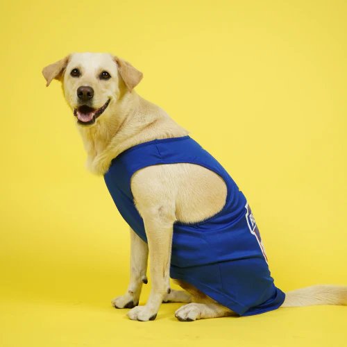 Supertails Bengaluru FC Jersey for Dogs and Cats - Image 4