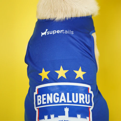 Supertails Bengaluru FC Jersey for Dogs and Cats - Image 5