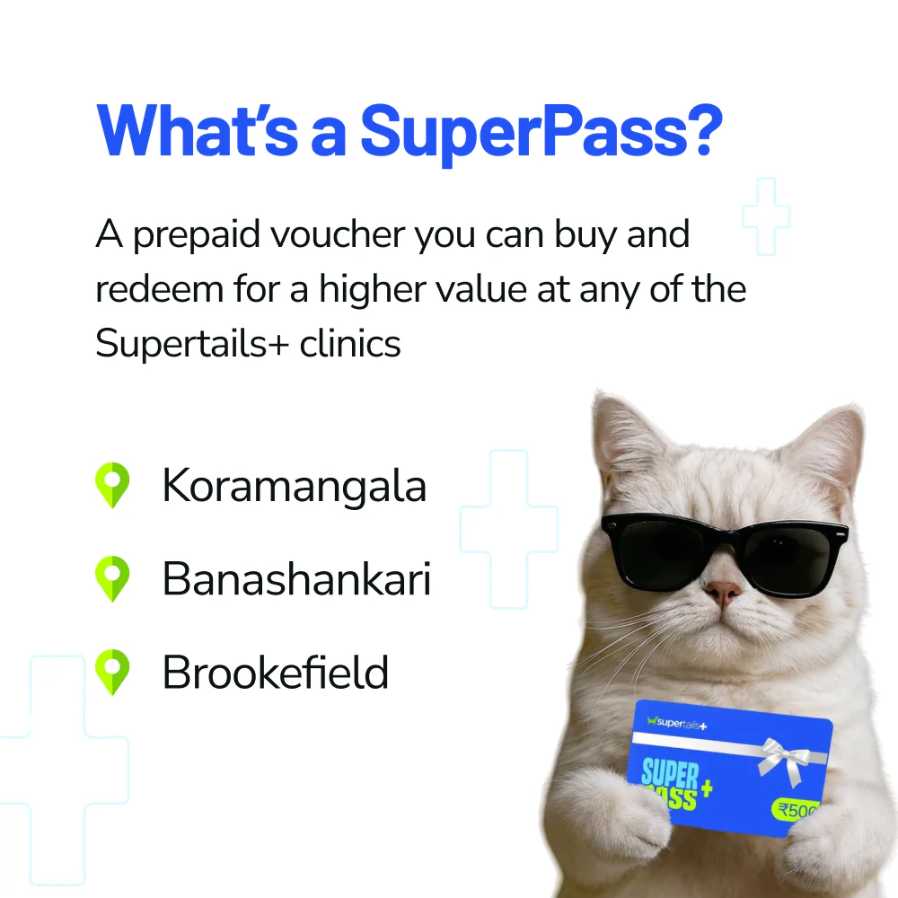 Supertails Clinic Limited Edition SuperPass - Image 2
