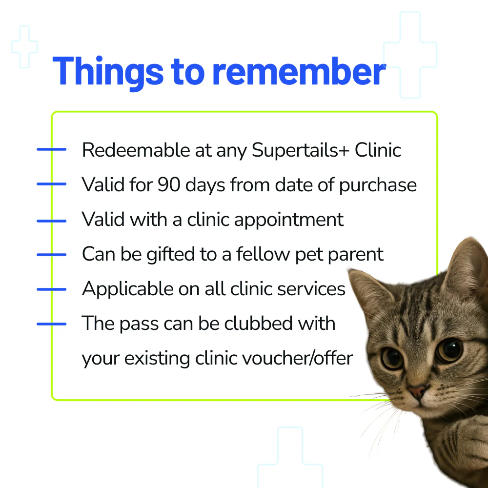 Supertails Clinic Limited Edition SuperPass - Image 5