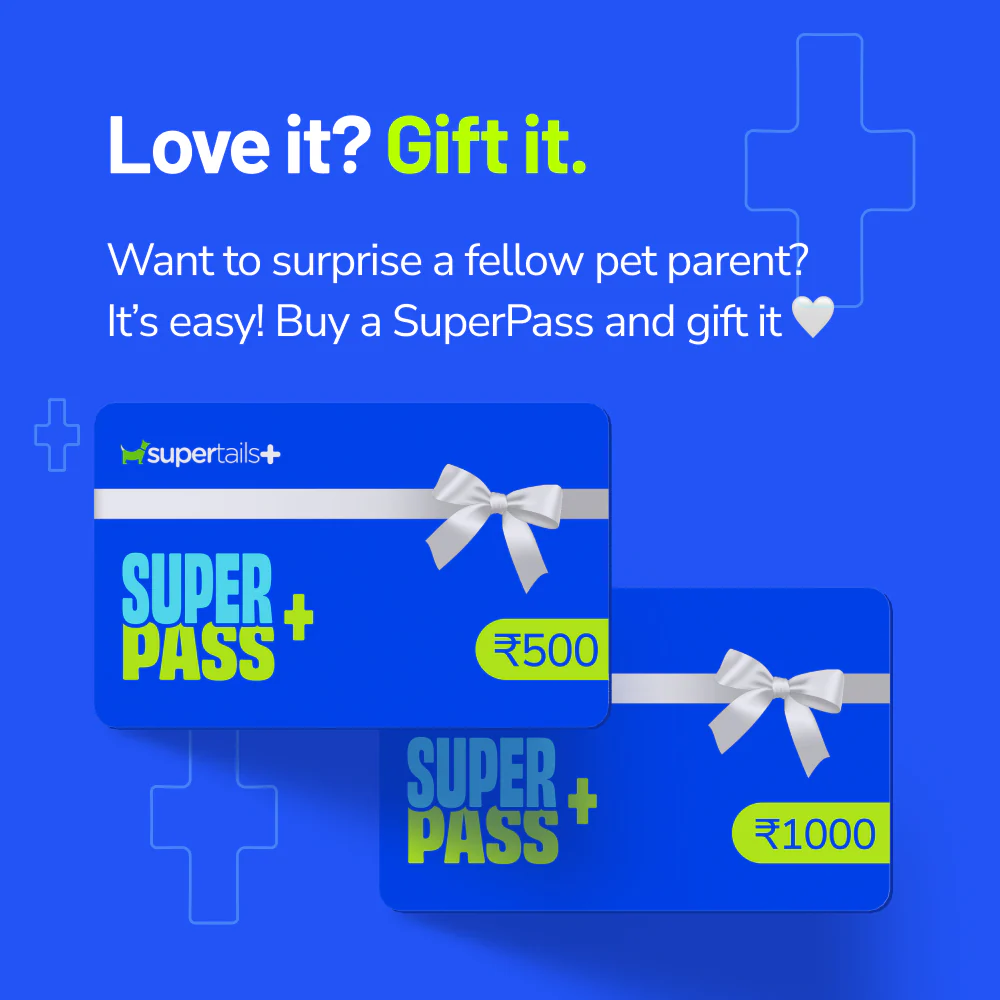 Supertails Clinic Limited Edition SuperPass - Image 6