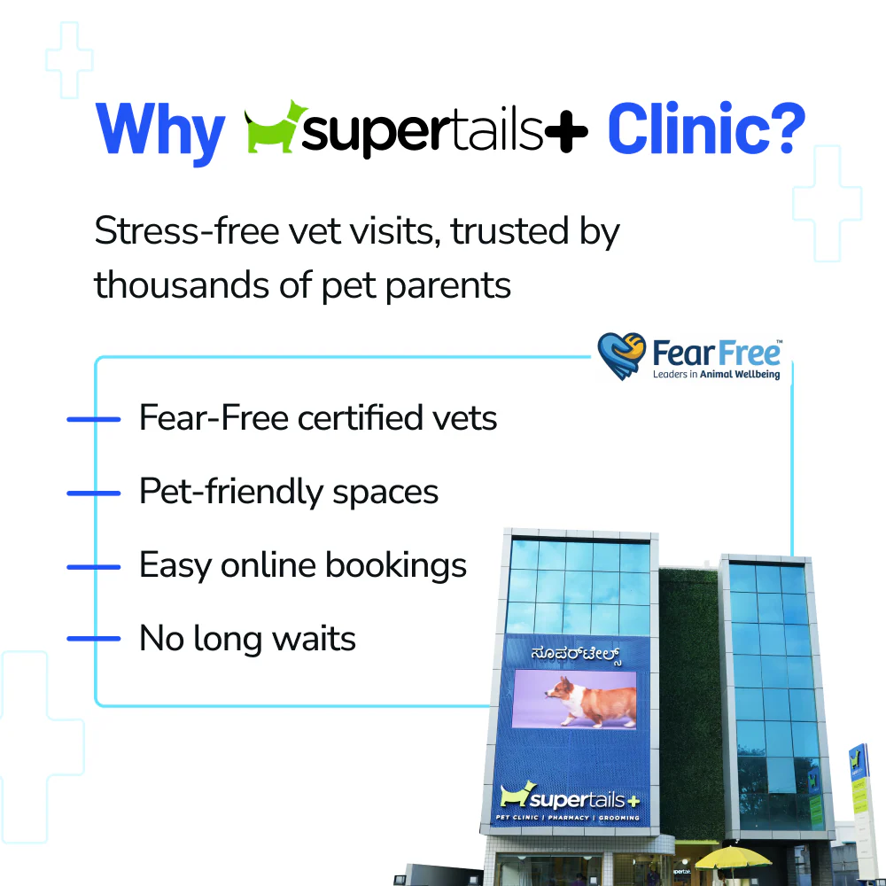 Supertails Clinic Limited Edition SuperPass - Image 7