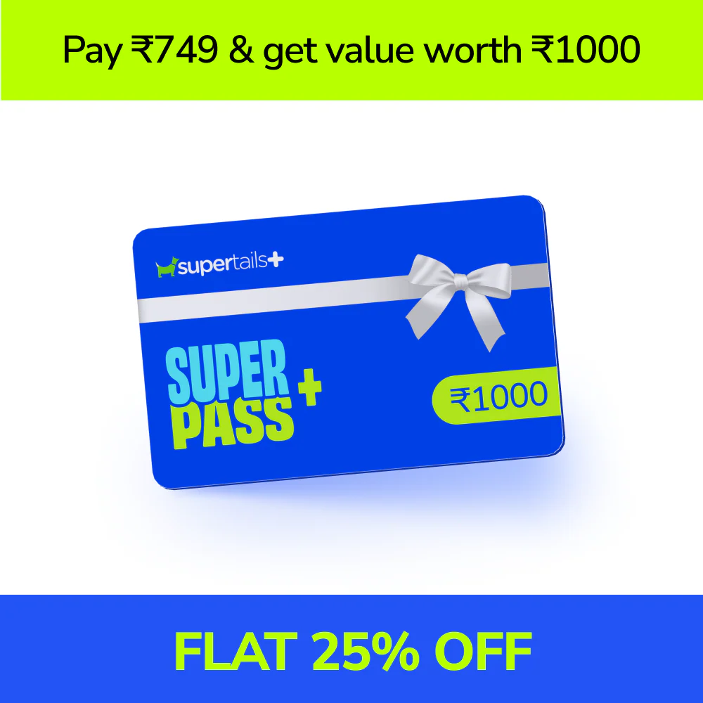 Supertails Clinic Limited Edition SuperPass - Image 8