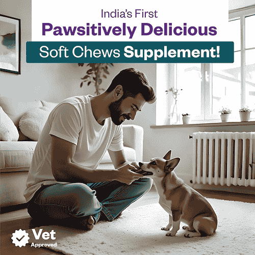 TailsAlive Calcium Chicken Flavor Soft Chews Supplements for Dogs - Image 2
