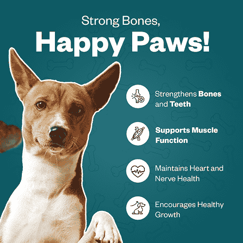 TailsAlive Calcium Chicken Flavor Soft Chews Supplements for Dogs - Image 3