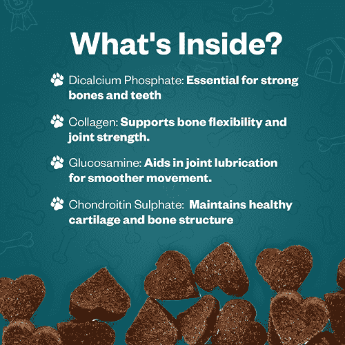 TailsAlive Calcium Chicken Flavor Soft Chews Supplements for Dogs - Image 5