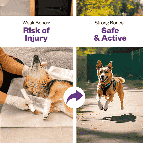 TailsAlive Calcium Chicken Flavor Soft Chews Supplements for Dogs - Image 8