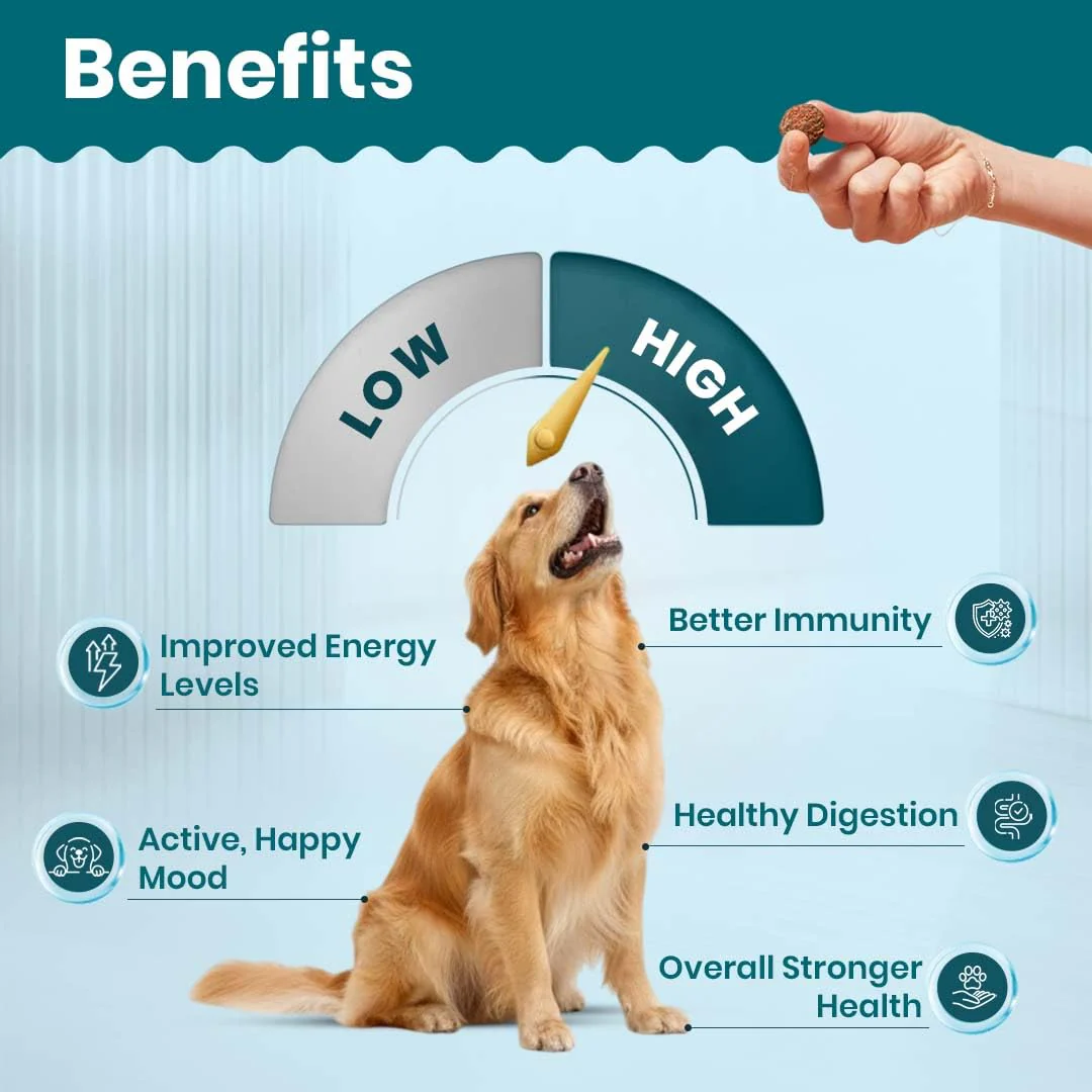 TailsAlive Chicken Flavour Multivitamin Soft Chews Supplement for Dogs - Image 6