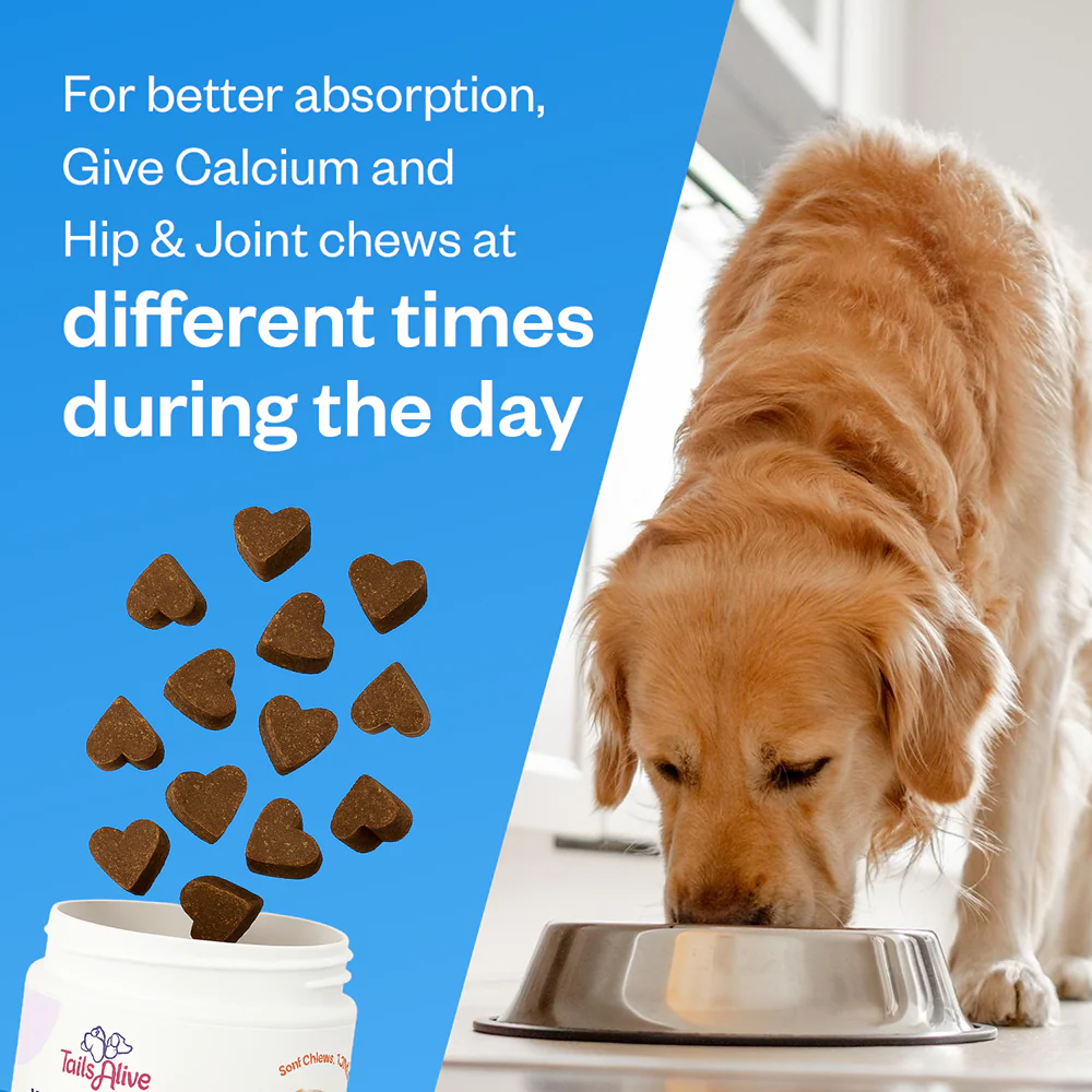 TailsAlive Hip & Joint and Calcium Chicken Flavor Soft Chews Supplements Combo for Dogs - Image 2