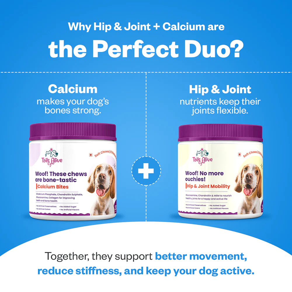 TailsAlive Hip & Joint and Calcium Chicken Flavor Soft Chews Supplements Combo for Dogs - Image 6
