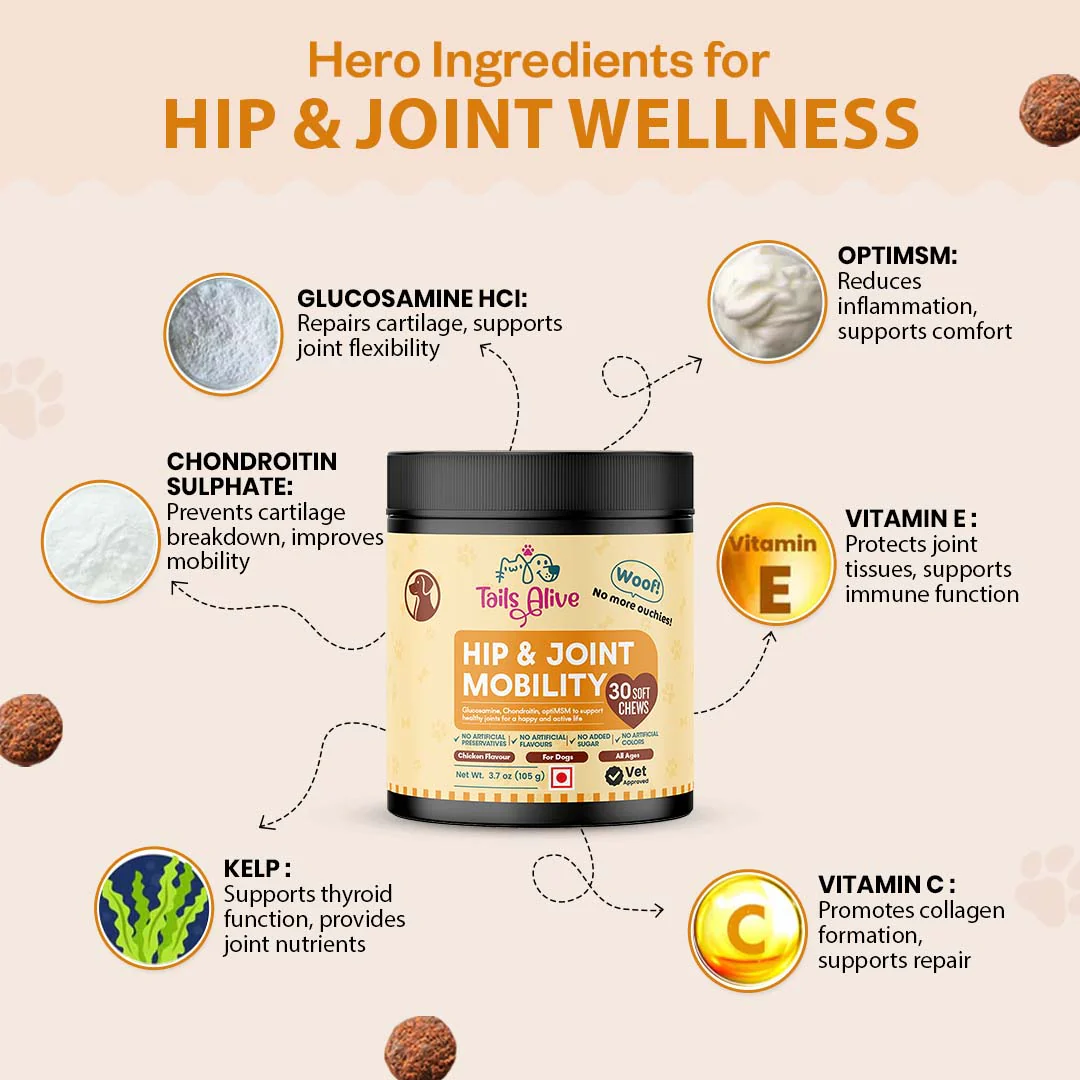 TailsAlive Hip & Joint Chicken Flavor Soft Chews Supplements for Dogs - Image 5