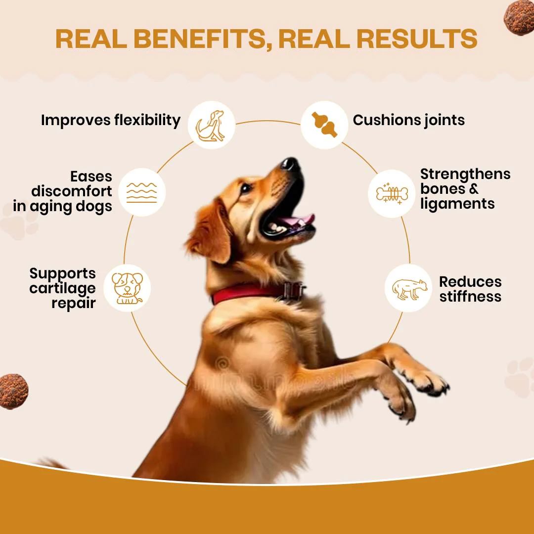 TailsAlive Hip & Joint Chicken Flavor Soft Chews Supplements for Dogs - Image 8