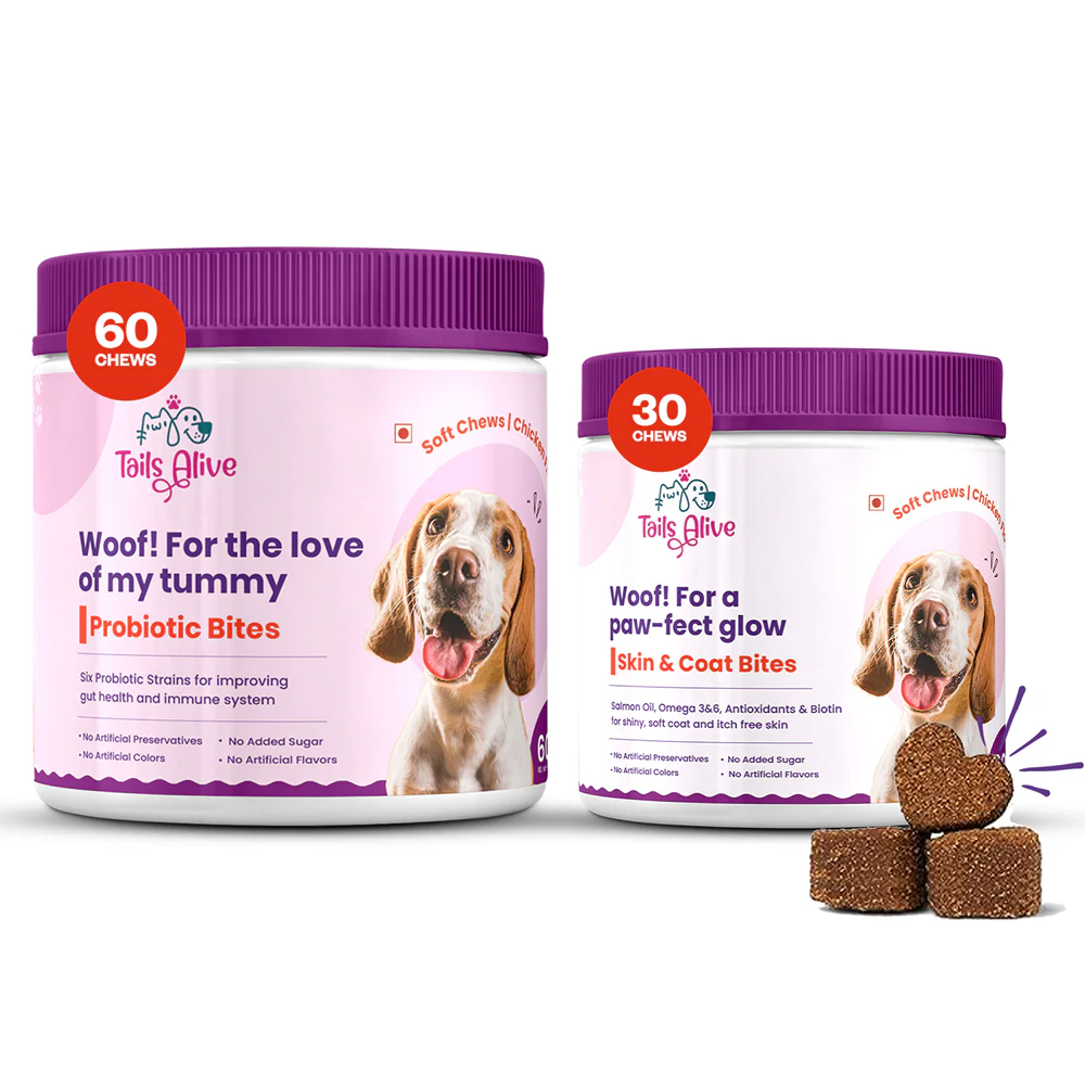 TailsAlive Probiotic Chicken Flavor and Skin & Coat Soft Chews Supplements for Dogs - Image 3