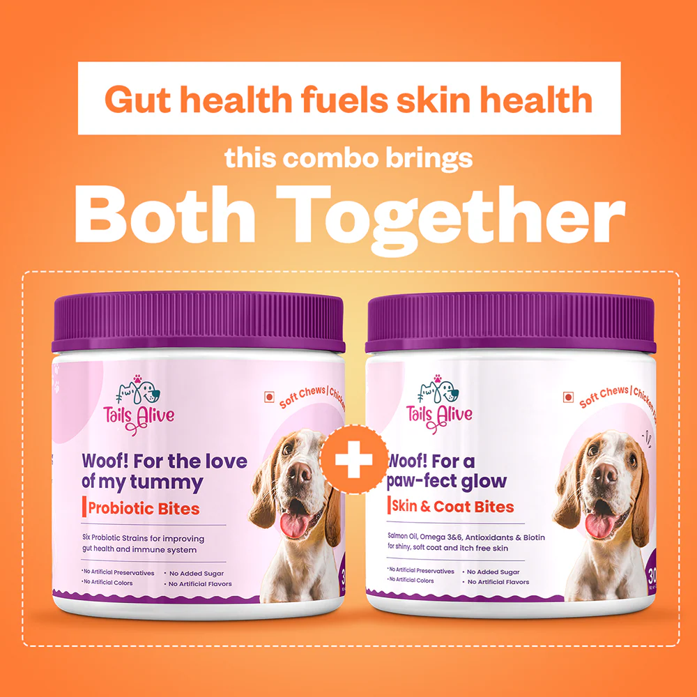 TailsAlive Probiotic Chicken Flavor and Skin & Coat Soft Chews Supplements for Dogs - Image 6