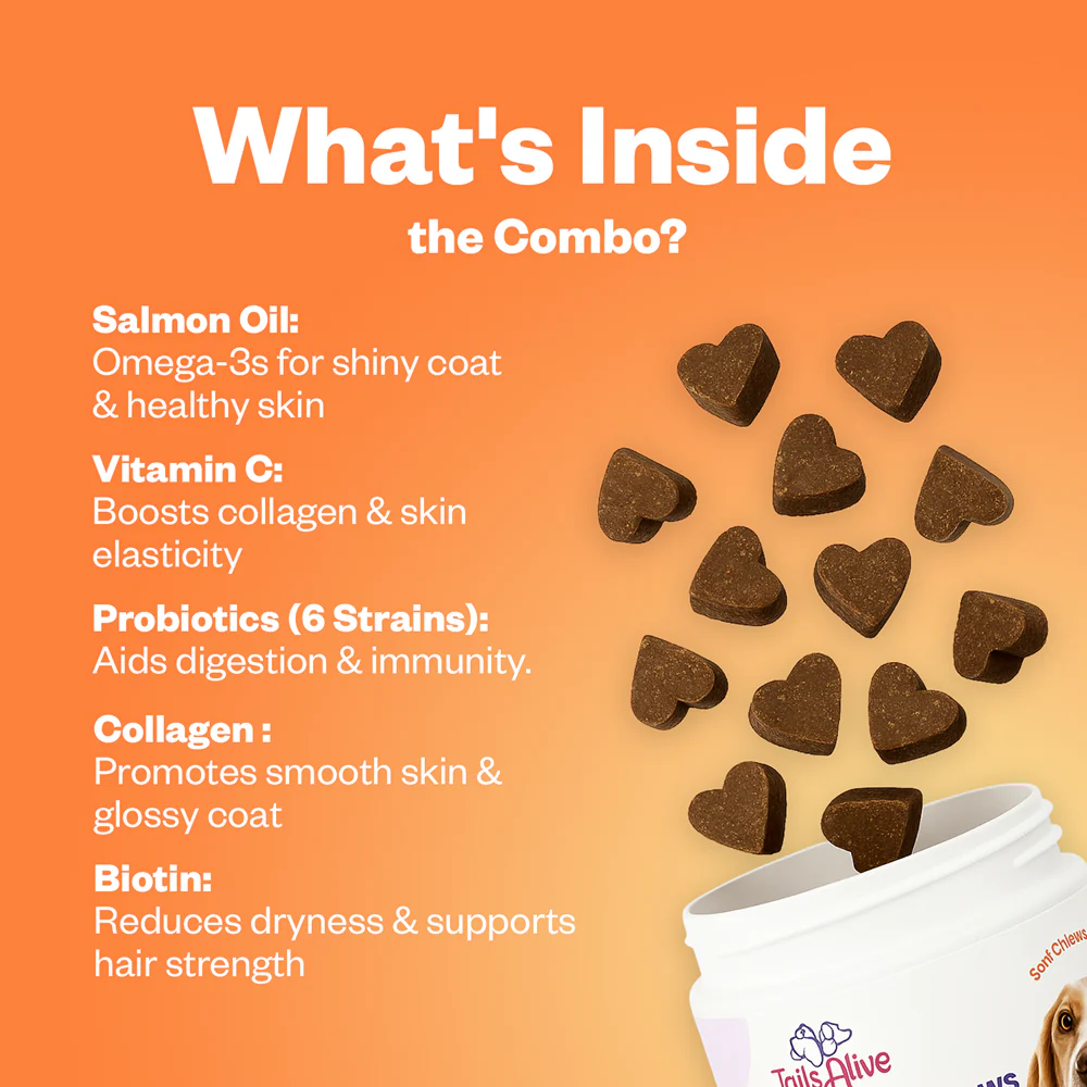 TailsAlive Probiotic Chicken Flavor and Skin & Coat Soft Chews Supplements for Dogs - Image 7