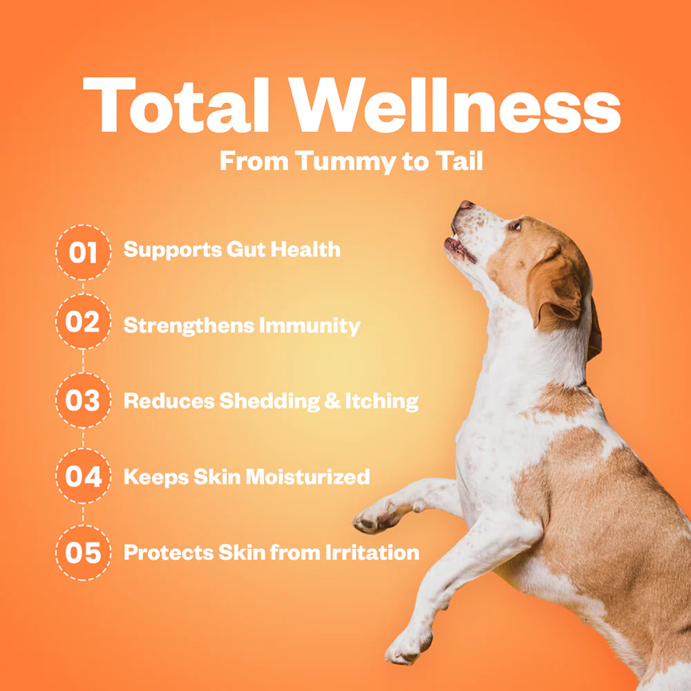 TailsAlive Probiotic Chicken Flavor and Skin & Coat Soft Chews Supplements for Dogs - Image 8