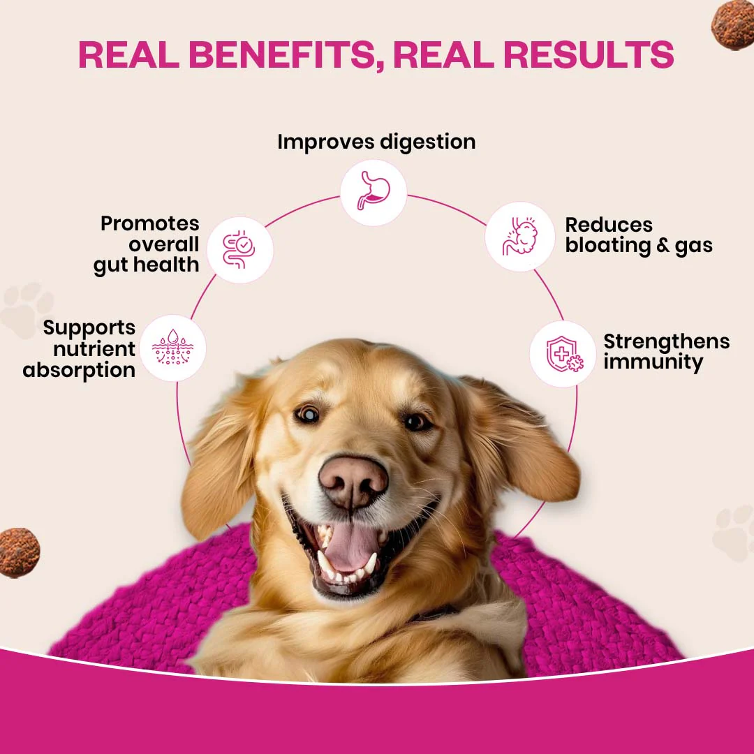 TailsAlive Probiotic Chicken Flavor Soft Chews Supplements for Dogs - Image 4