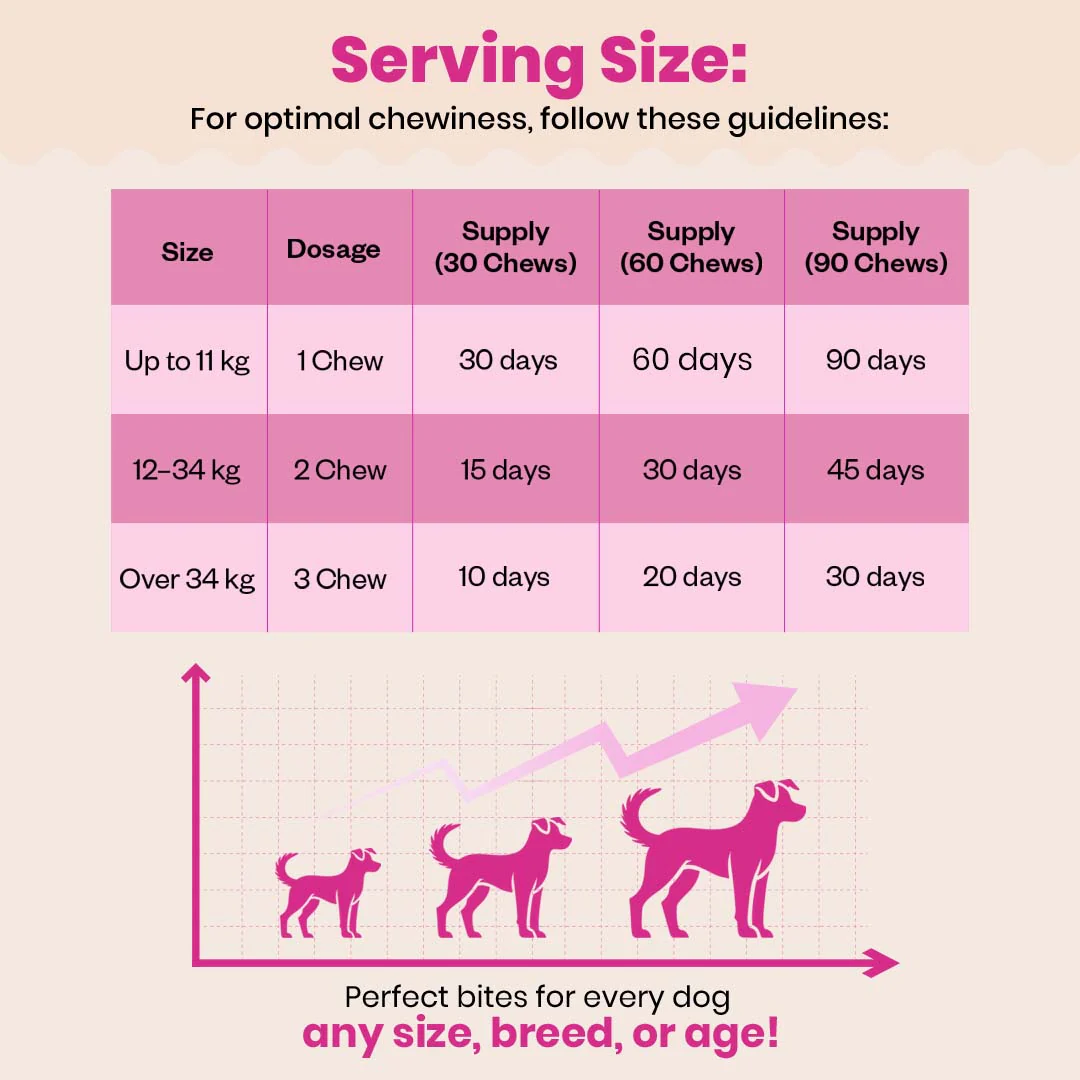 TailsAlive Probiotic Chicken Flavor Soft Chews Supplements for Dogs - Image 6