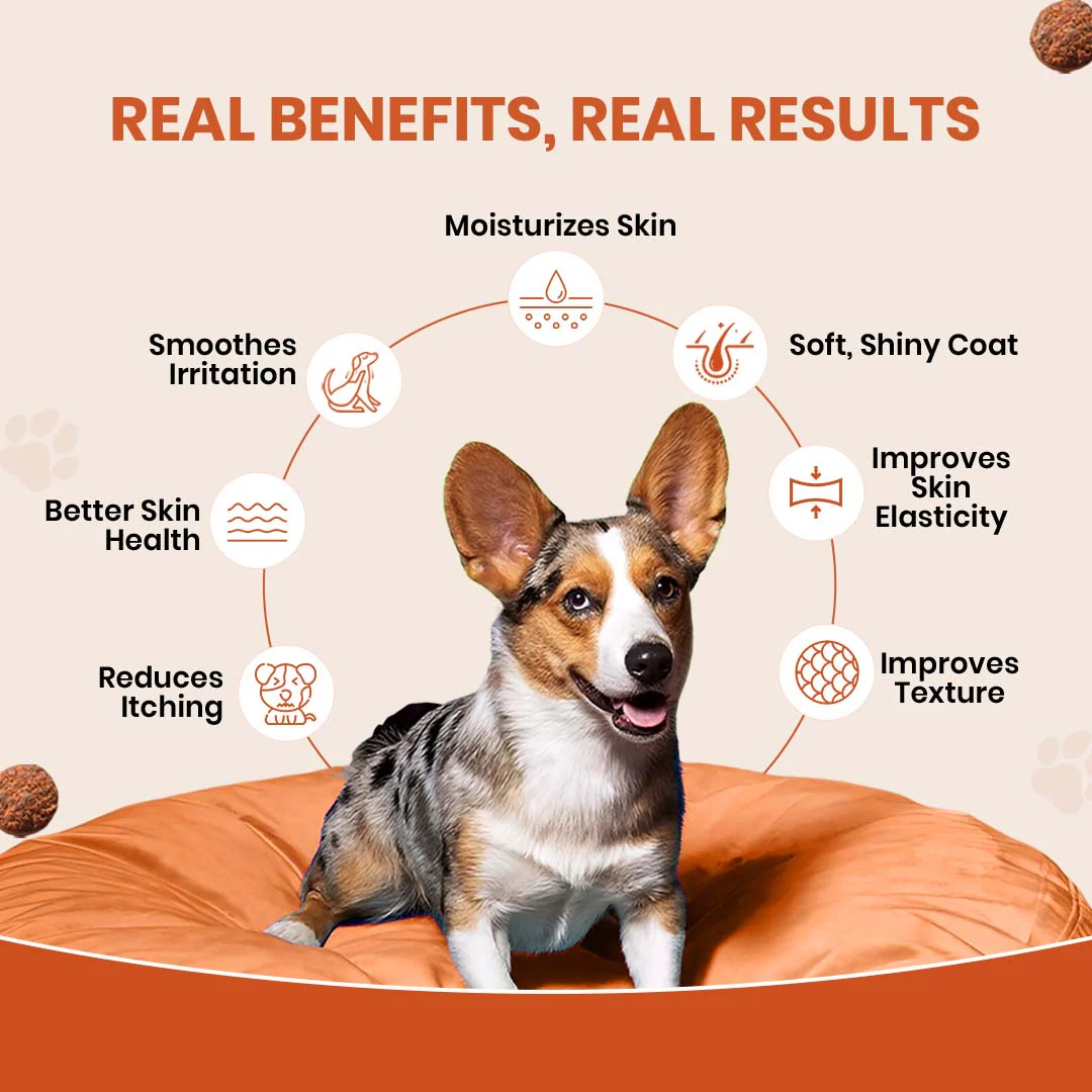 TailsAlive Skin & Coat Soft Chews Supplement for Dogs - Image 4