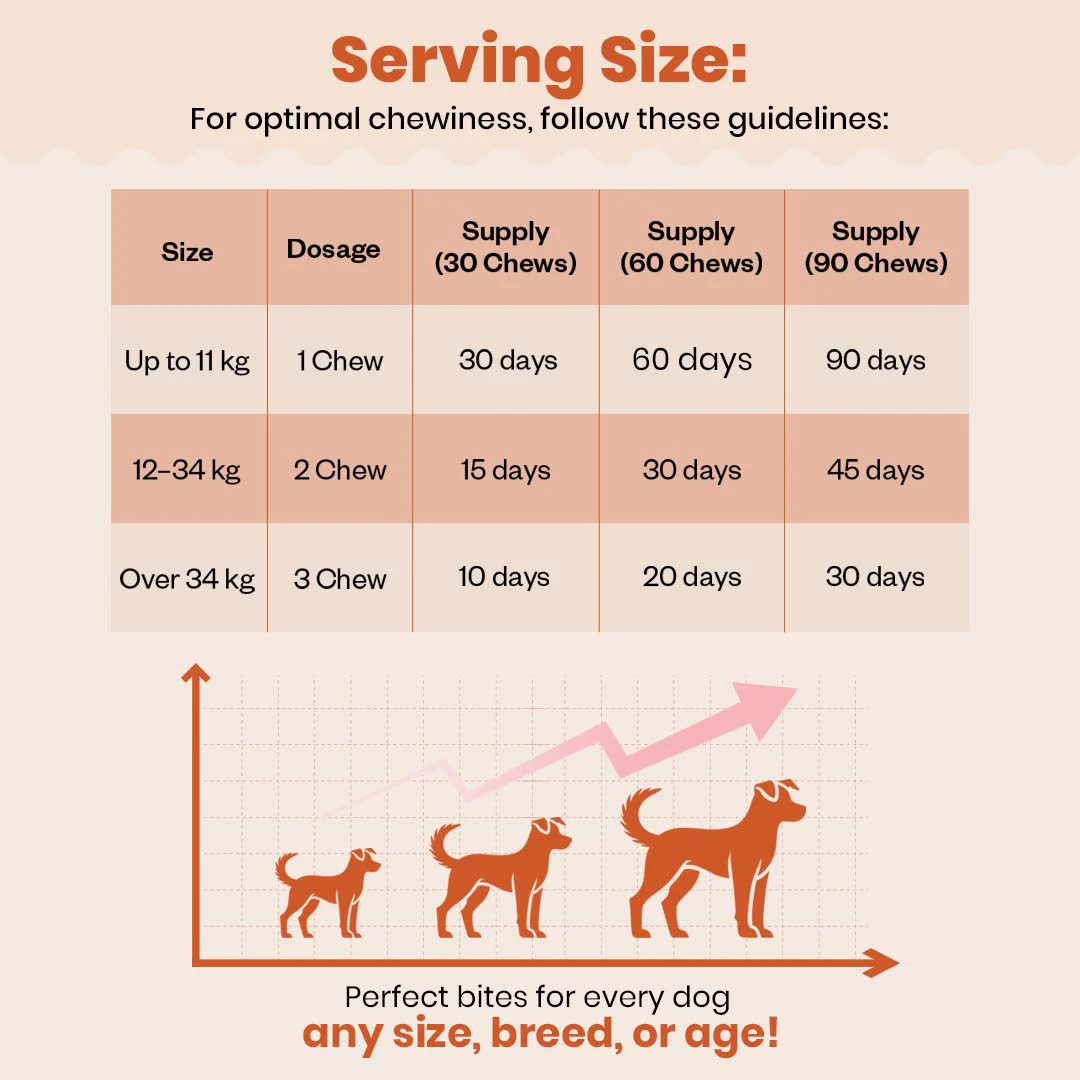 TailsAlive Skin & Coat Soft Chews Supplement for Dogs - Image 8