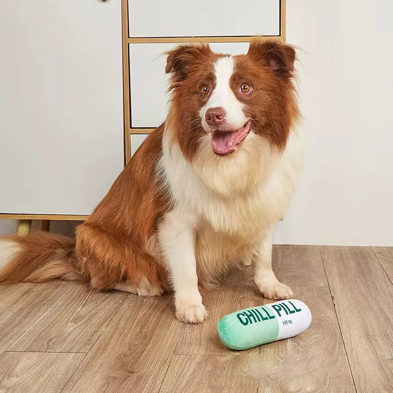 Talking Dog Chill Pill Plush Toy for Dogs (Green) - Image 2
