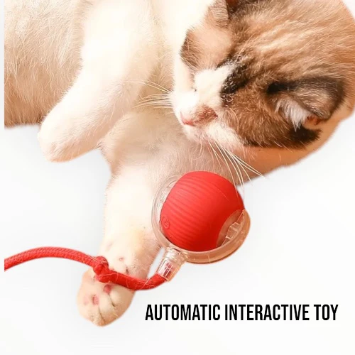 Talking Dog Club Automatic Rotating Interactive LED Ball for Cats, Kittens and Puppies (Green) - Image 4