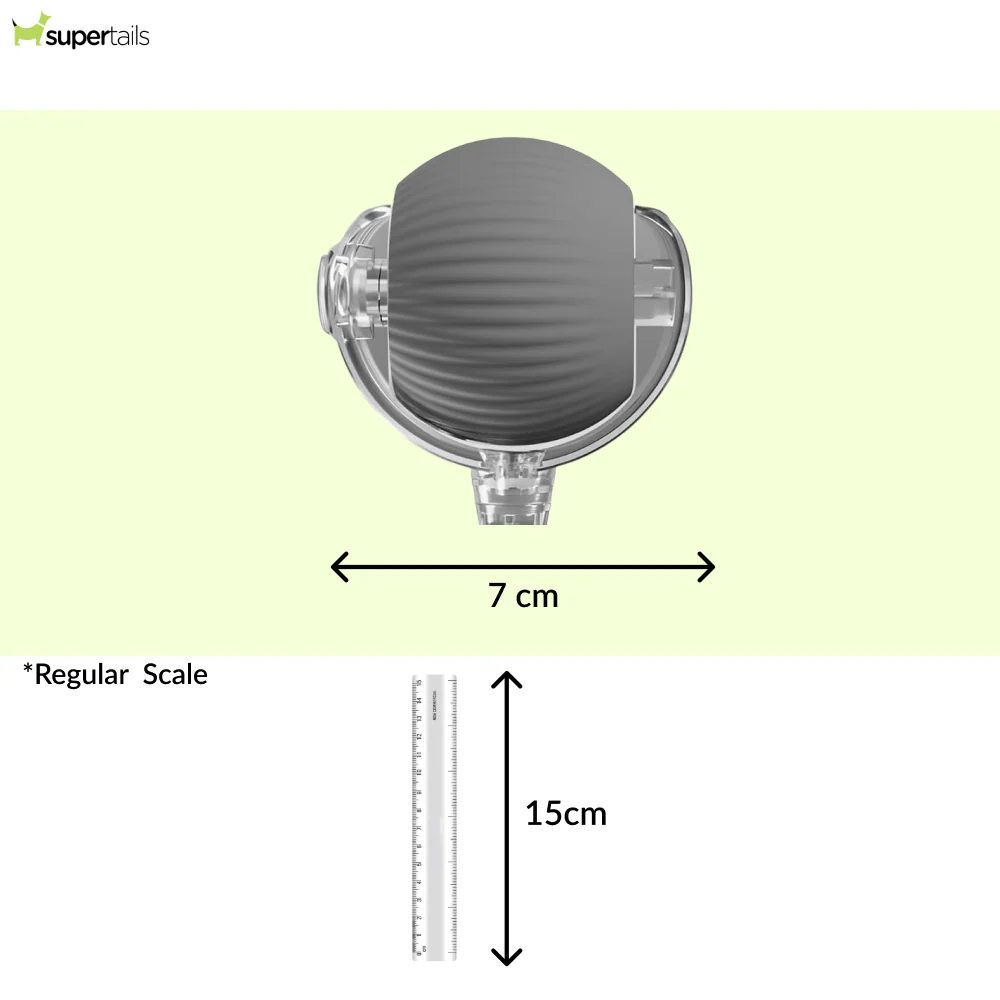 Talking Dog Club Automatic Rotating Interactive LED Ball for Cats, Kittens and Puppies (Grey) - Image 2