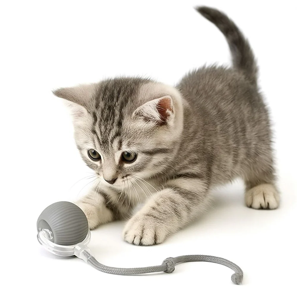 Talking Dog Club Automatic Rotating Interactive LED Ball for Cats, Kittens and Puppies (Grey) - Image 3