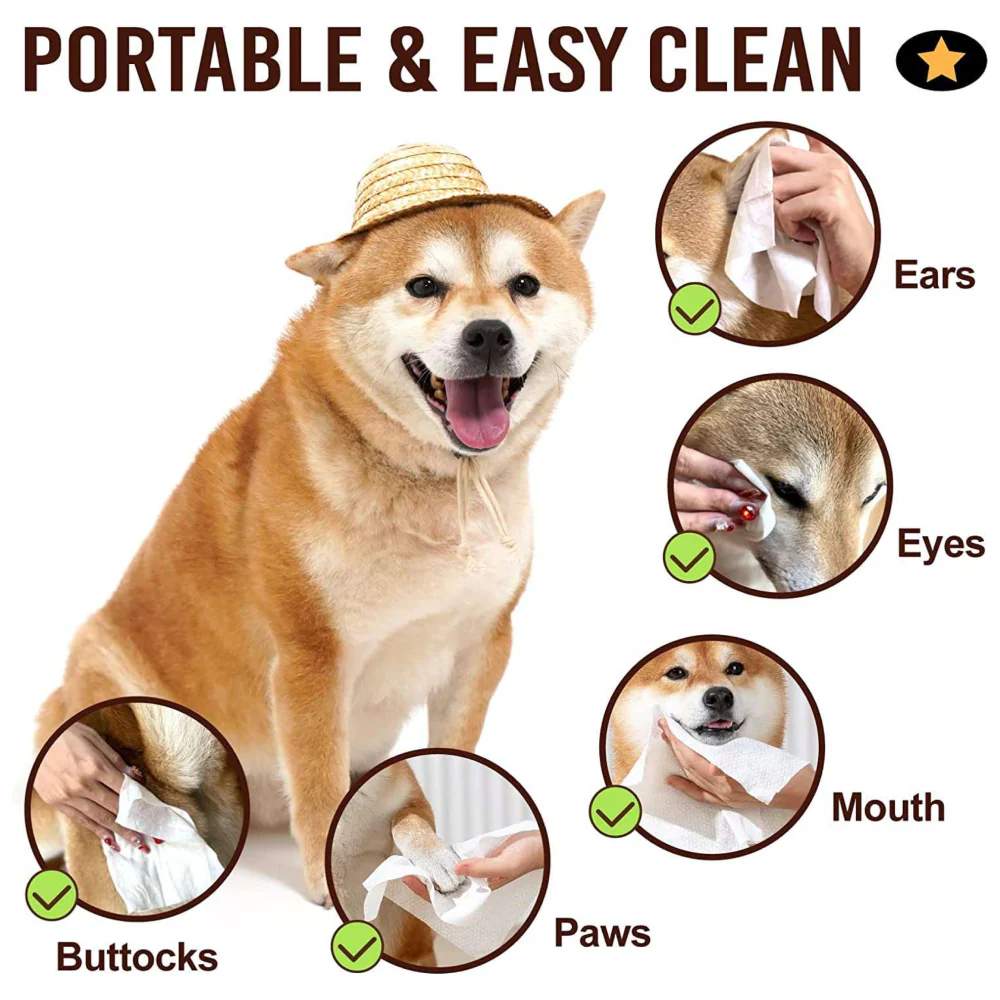 Talking Dog Club Autumn Leaves Wipes for Dogs and Cats - Image 2