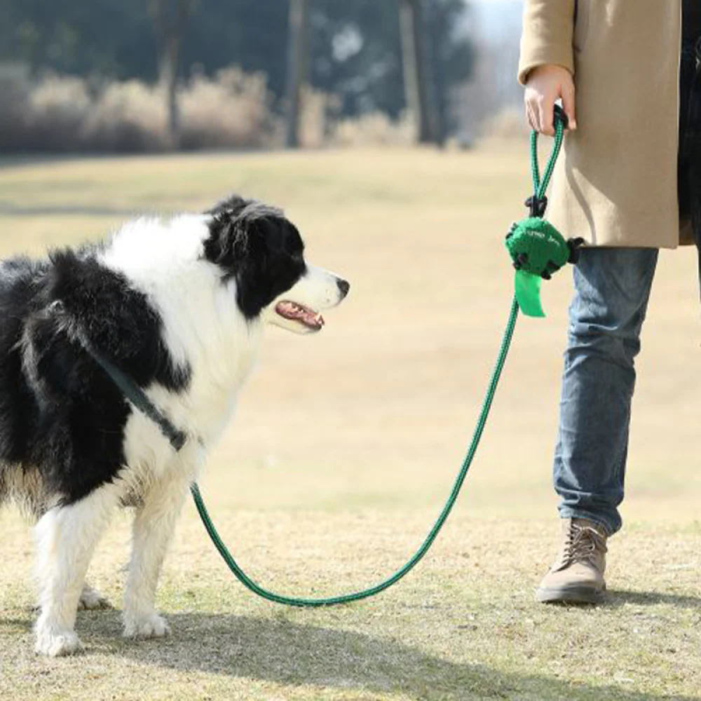 Talking Dog Club Baa Baa Black Sheep! Poop Bag Dispenser for Dogs and Cats (Green) - Image 5