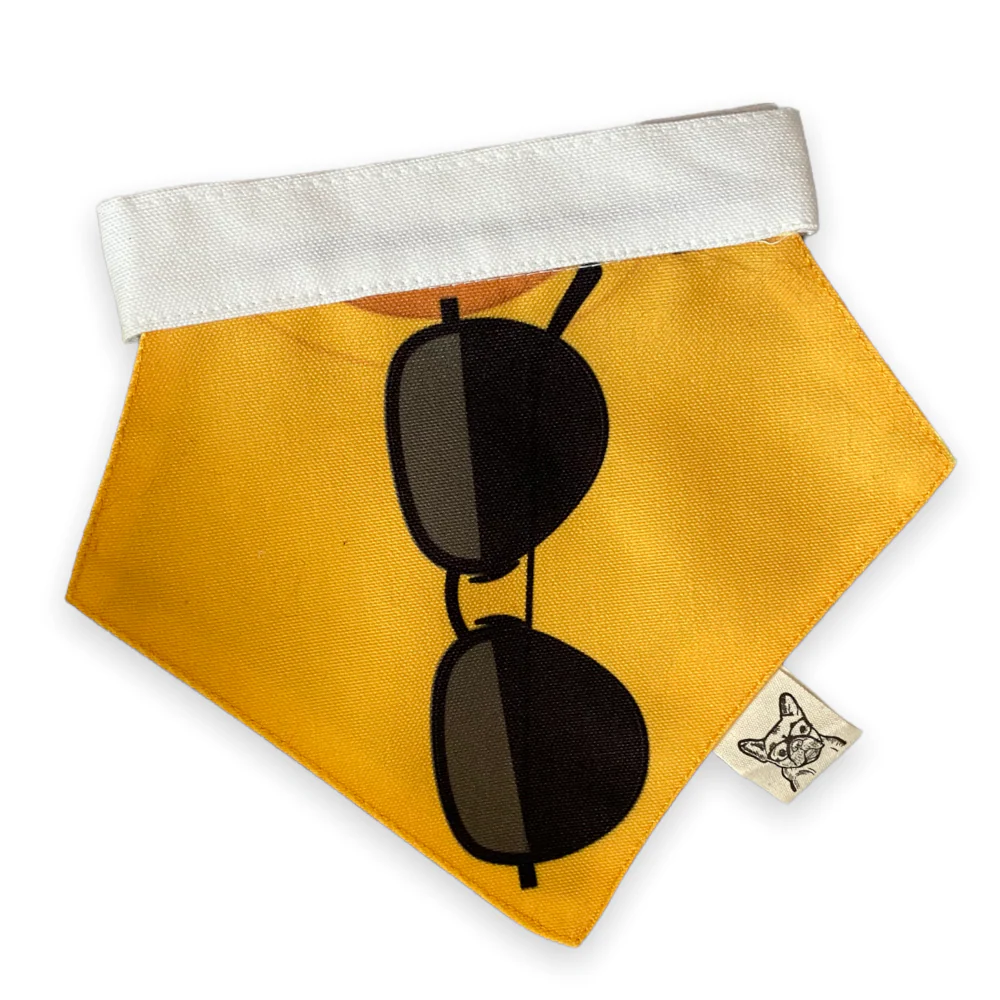Talking Dog Club Beach Buns Bandana for Dogs and Cats (Yellow) - Image 3