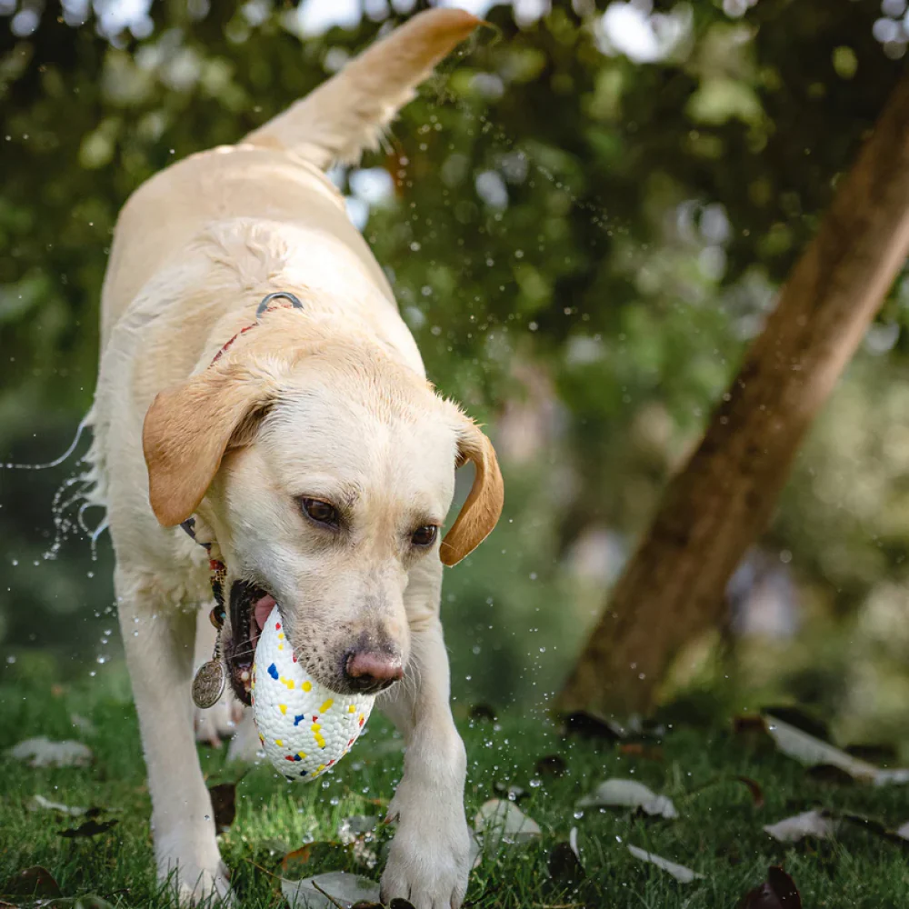 Talking Dog Club Bloom Rugby Indestructible Heavy Chew Toy for Dogs (White) - Image 4