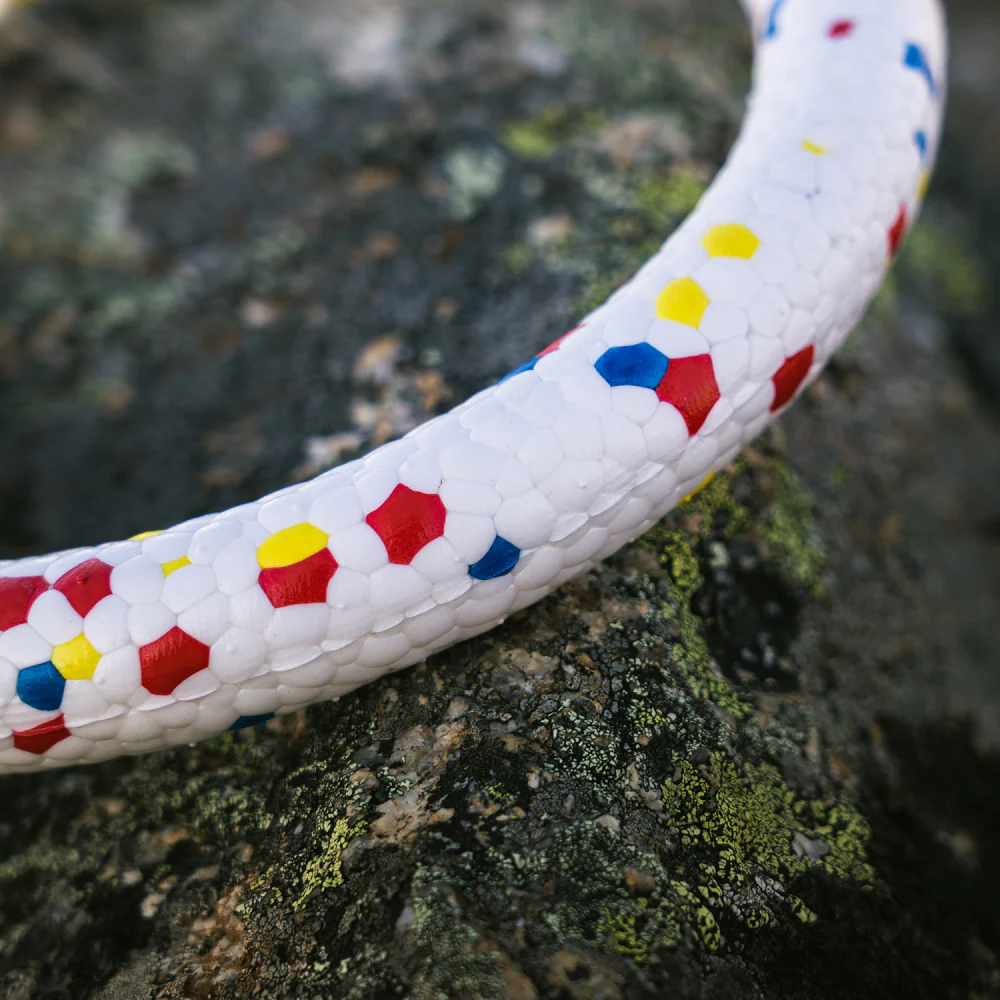 Talking Dog Club Bloom Ring Indestructible Heavy Chew Toy for Dogs (White) - Image 4