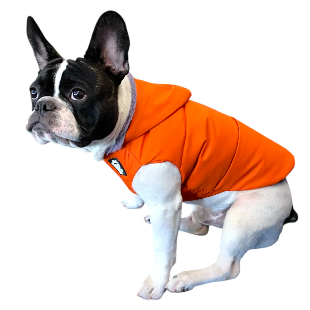 Talking Dog Club Bomber Jacks Hoodies for Dogs (Orange) - Image 3