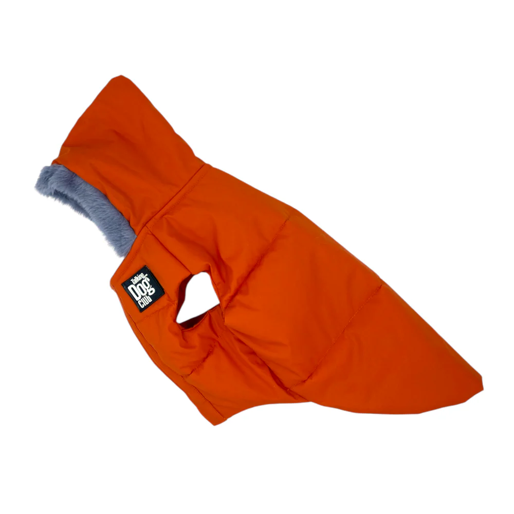 Talking Dog Club Bomber Jacks Hoodies for Dogs (Orange) - Image 5