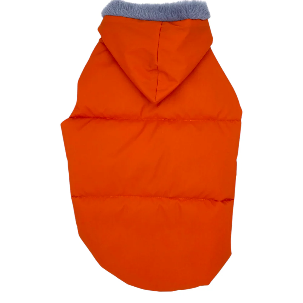 Talking Dog Club Bomber Jacks Hoodies for Dogs (Orange) - Image 6