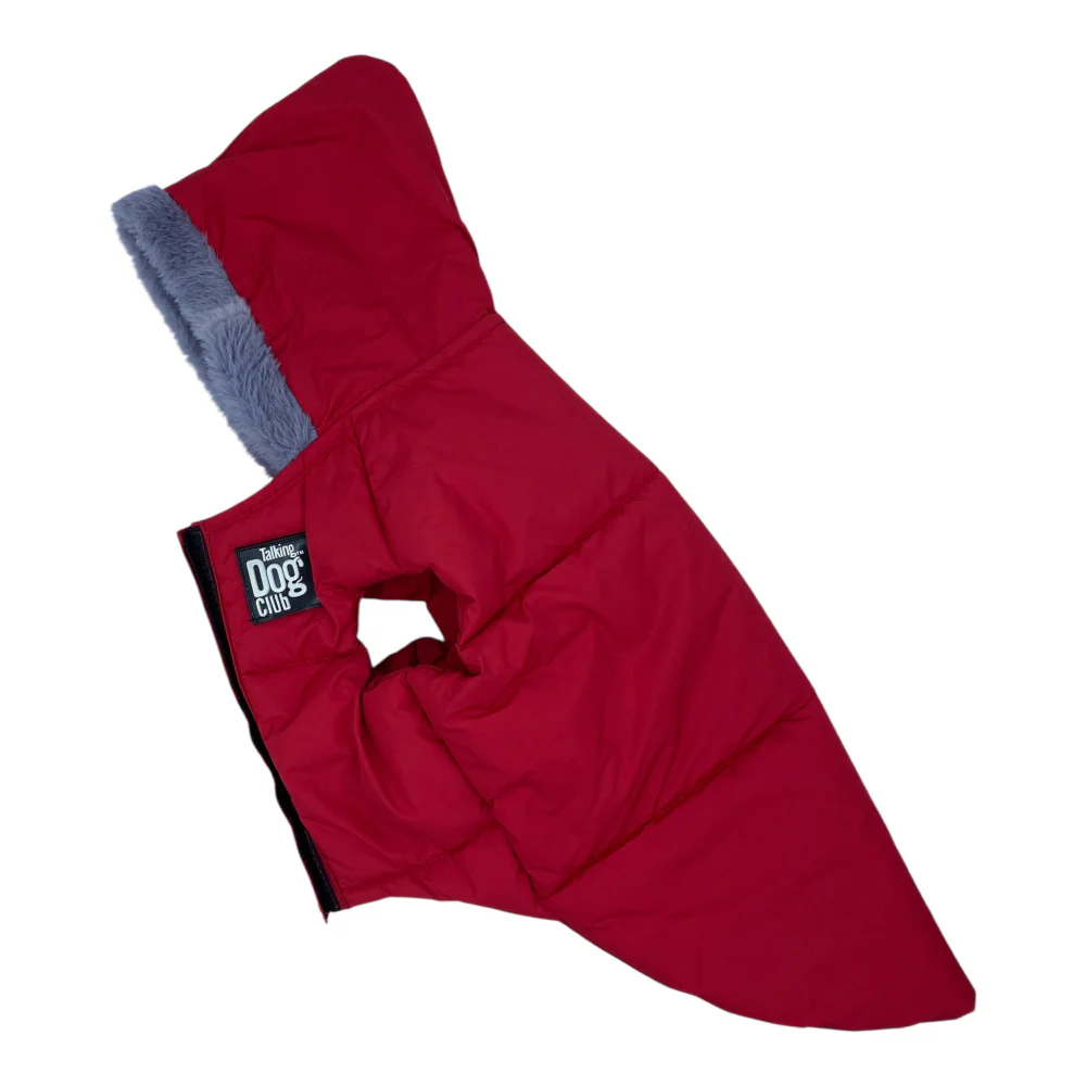 Talking Dog Club Bomber Jacks Hoodies for Dogs (Red) - Image 4