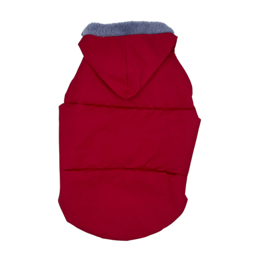 Talking Dog Club Bomber Jacks Hoodies for Dogs (Red) - Image 5