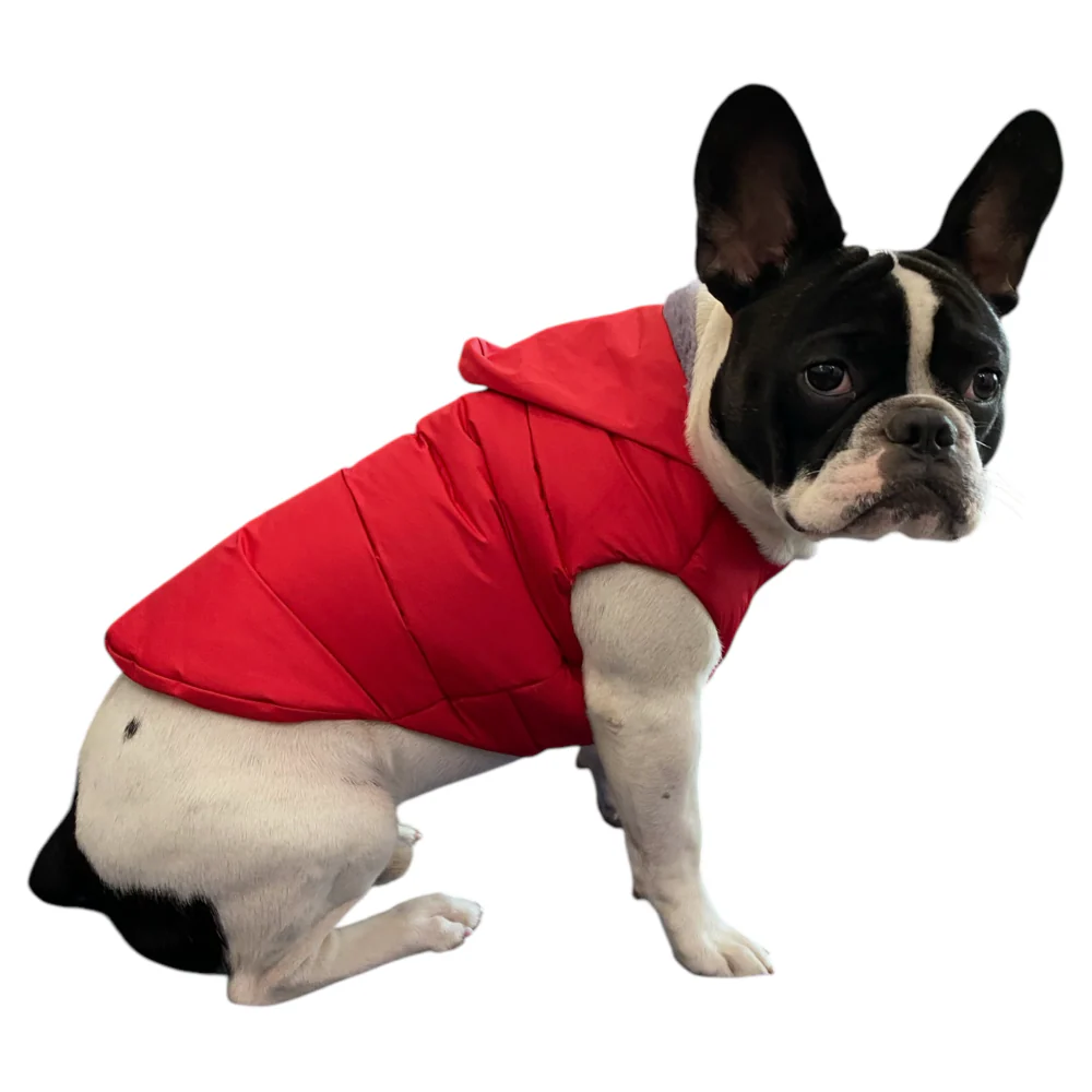 Talking Dog Club Bomber Jacks Hoodies for Dogs (Red) - Image 9
