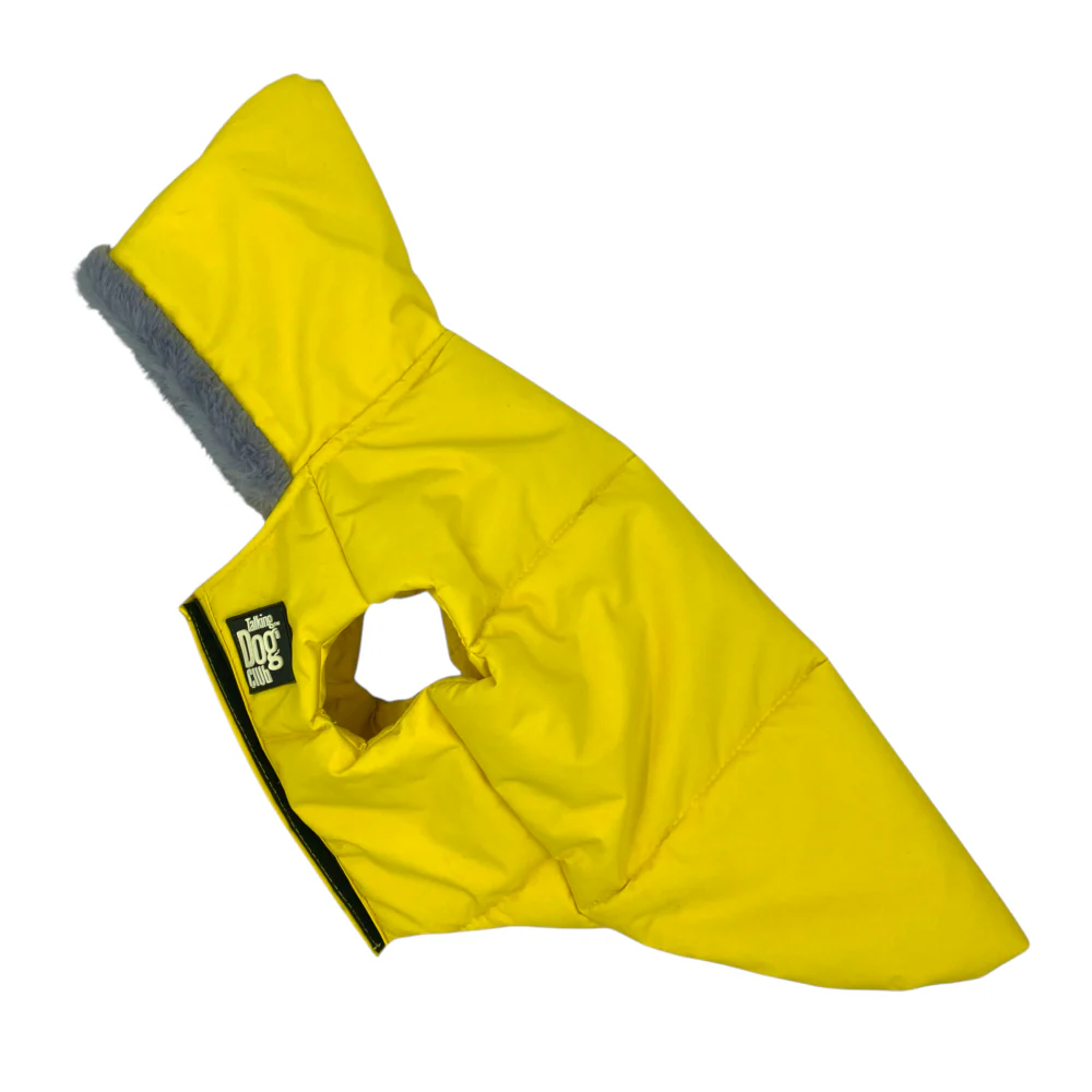 Talking Dog Club Bomber Jacks Hoodies for Dogs (Yellow) - Image 6