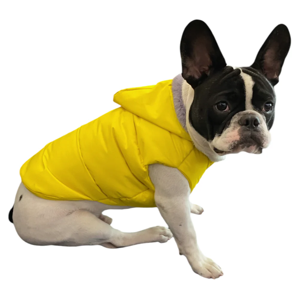 Talking Dog Club Bomber Jacks Hoodies for Dogs (Yellow) - Image 7