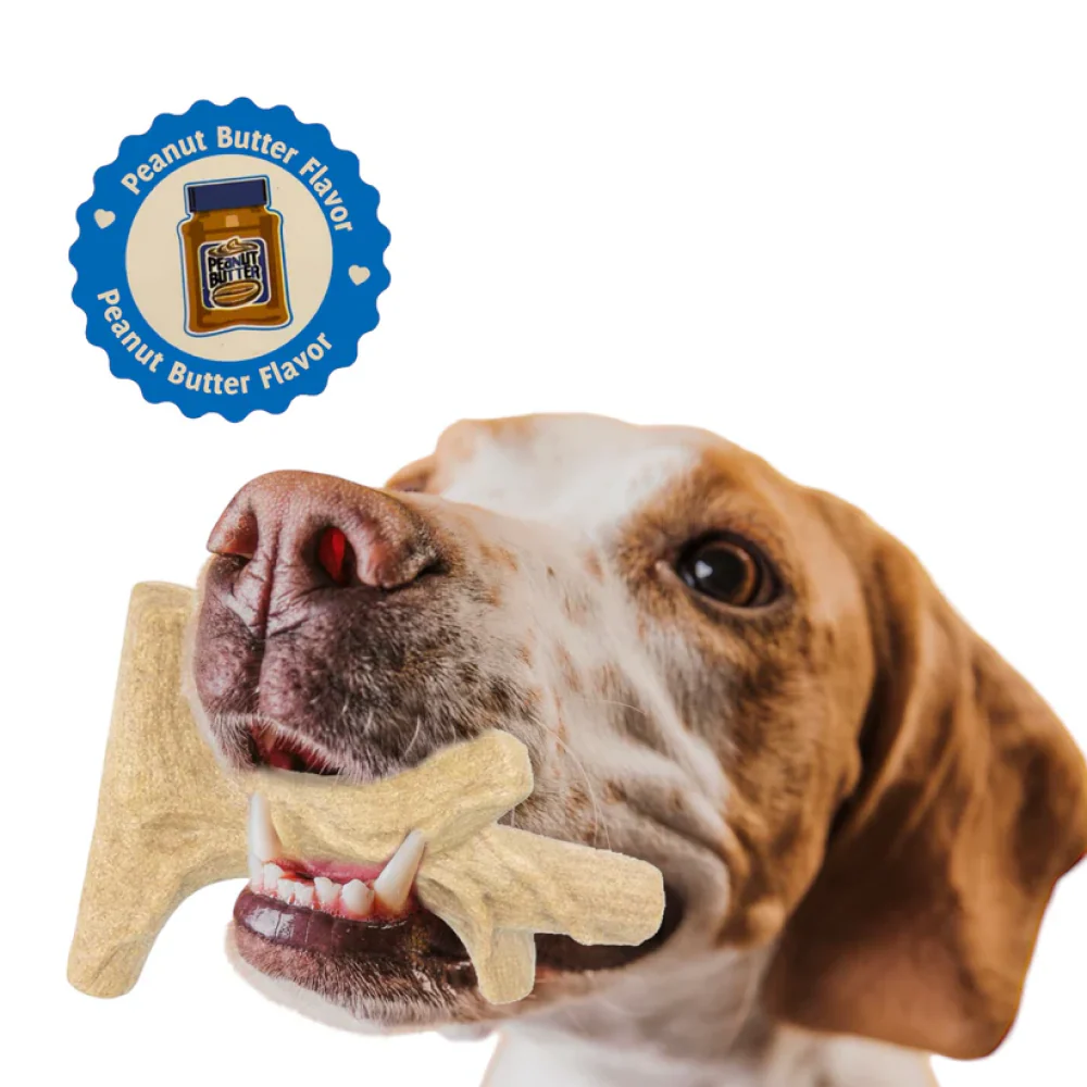 Talking Dog Club Branch Out Wood Heavy Chew Toy for Dogs (Brown) - Image 4