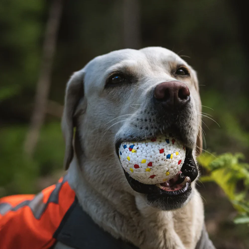 Talking Dog Club Bloom Ball Indestructible Heavy Chew Toy for Dogs (White) - Image 4