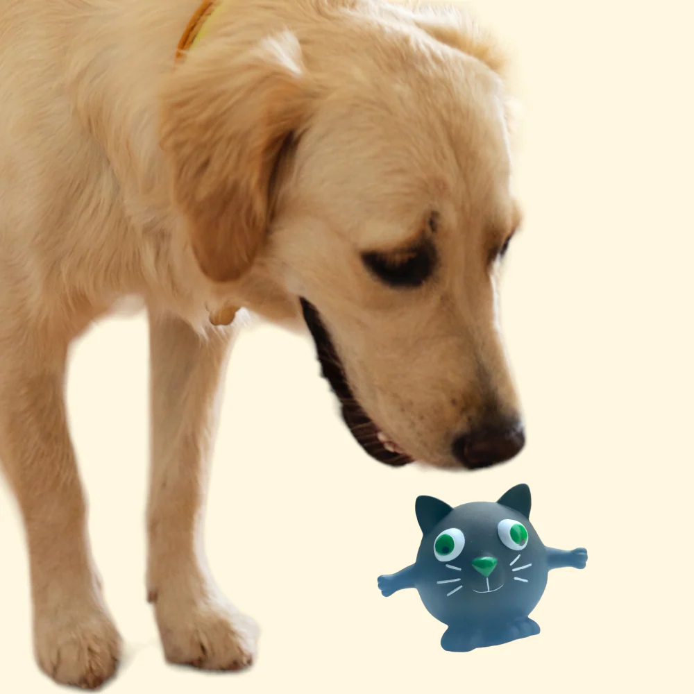 Talking Dog Club Cat Bouncy Ball Toy for Dogs (Black) - Image 3