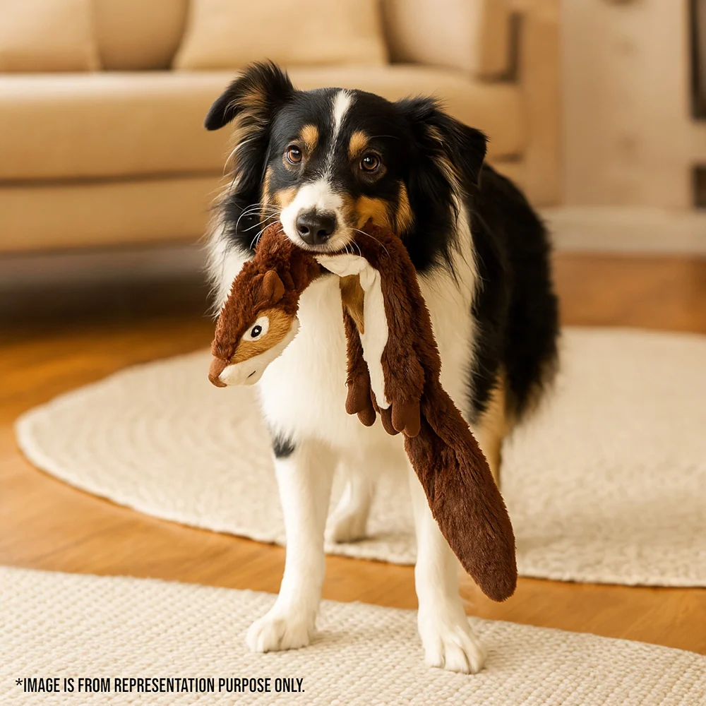 Talking Dog Club Chipmunk Stuffless Plush Toy for Dogs (Brown) - Image 4