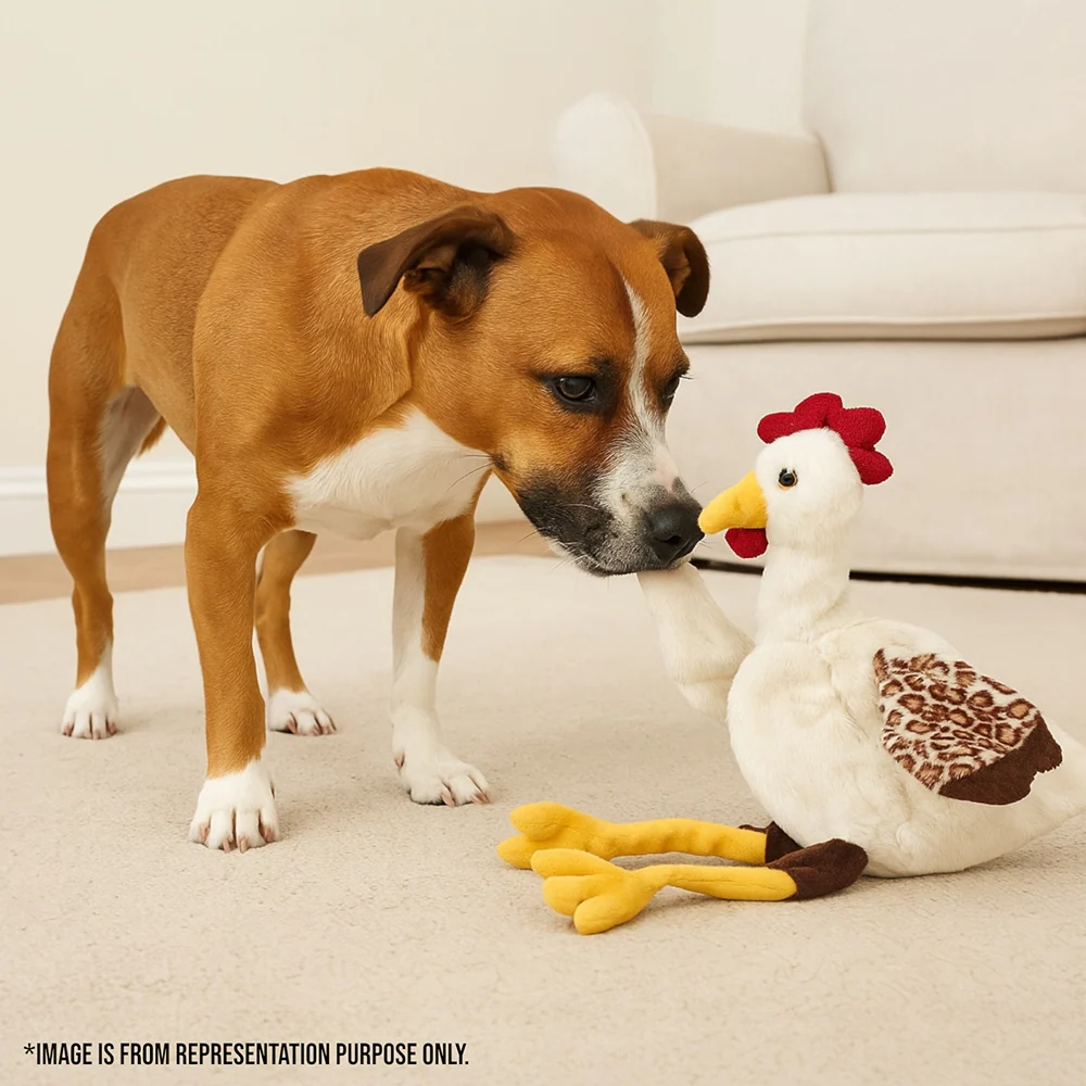Talking Dog Club Cock a Doodle Stuffless Plush Toy for Dogs (Brown) - Image 4
