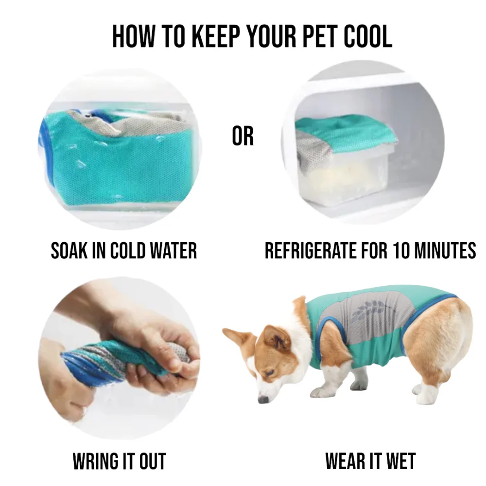 Talking Dog Club Coolios Cooling Vests for Dogs (Blue) - Image 3