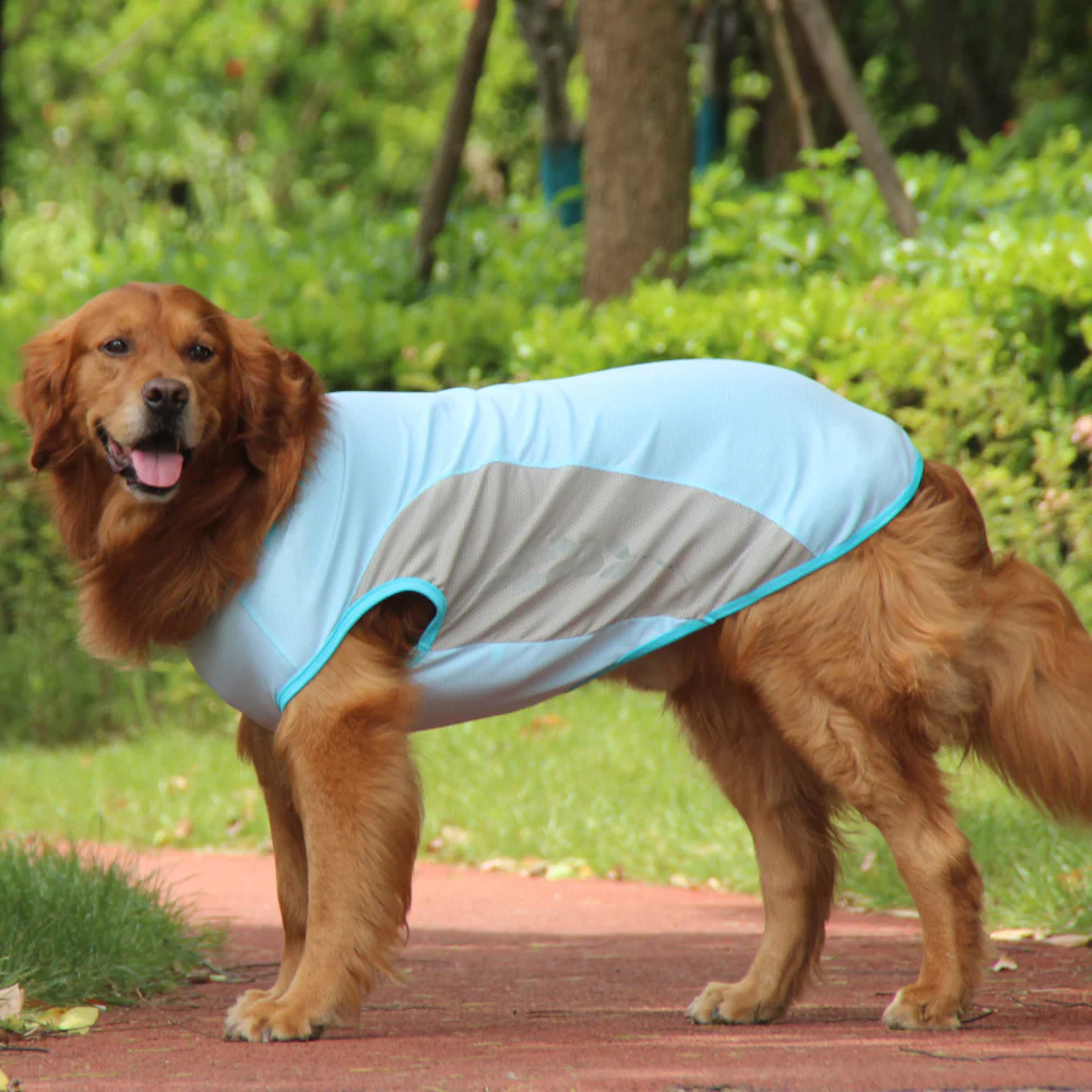 Talking Dog Club Coolios Cooling Vests for Dogs (Blue) - Image 5