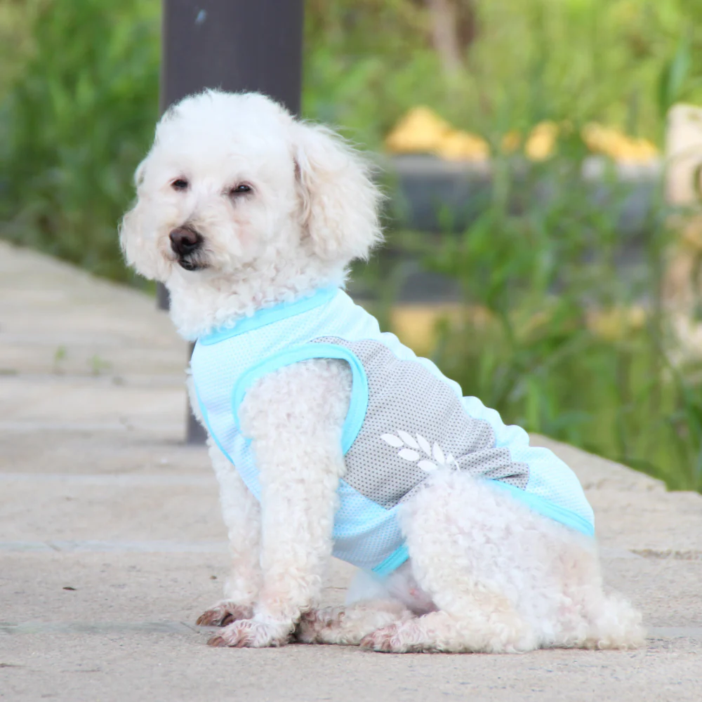 Talking Dog Club Coolios Cooling Vests for Dogs (Blue) - Image 6