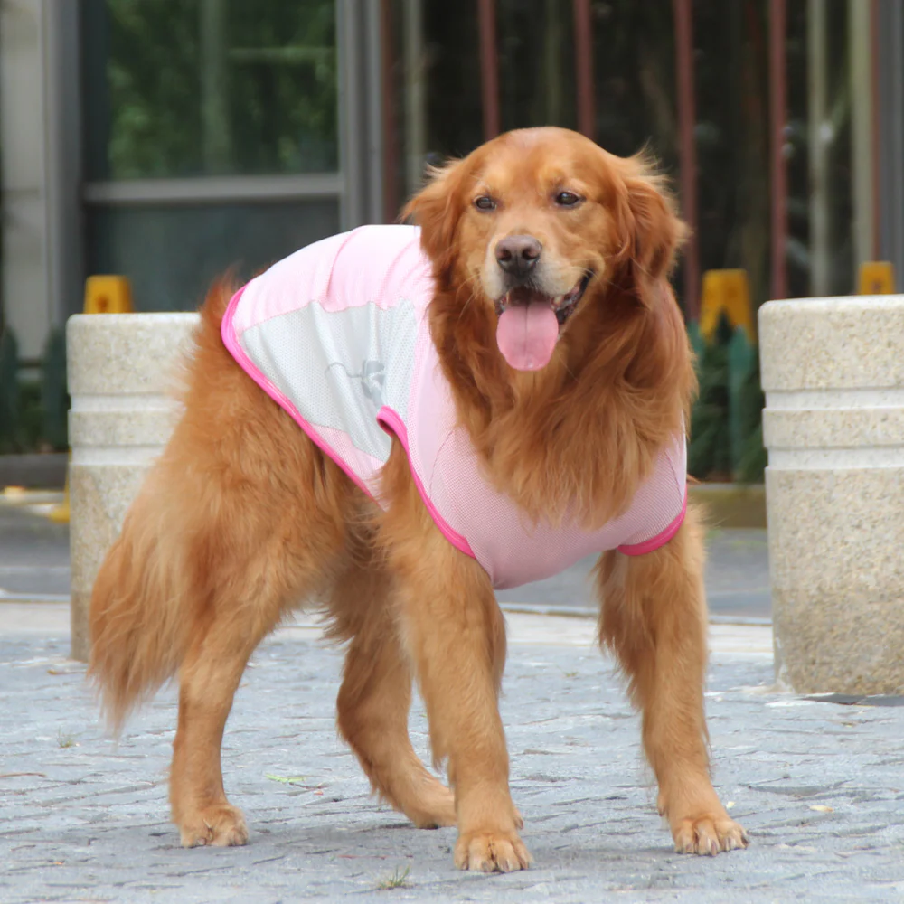 Talking Dog Club Coolios Cooling Vests for Dogs (Pink) - Image 4
